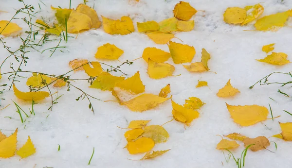 我们得到了我们的第一个雪的季节在夜间，灰尘 — 图库照片