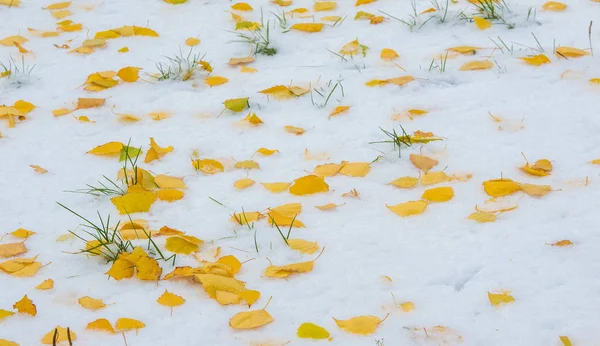 我们得到了我们的第一个雪的季节在夜间，灰尘 — 图库照片