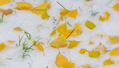 Sezonun ilk karını gece boyunca aldık.