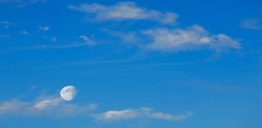 Doku arka plan, desen, duvar kağıdı. Onlar hala oldukça hig vardır