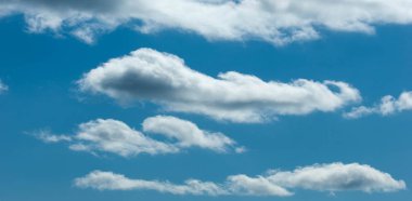 Doku arka plan, desen, duvar kağıdı. Onlar hala oldukça hig vardır