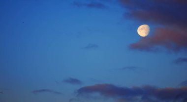 Kumaş arka plan, desen, duvar kağıdı. Onlar hala oldukça yüksek bulutlar. Onlar yağmur yağdırmaz. Altostratus bulutları ortalama bir gri ya da mavi-griye sahiptir. Genellikle tüm gökyüzünü kaplar..