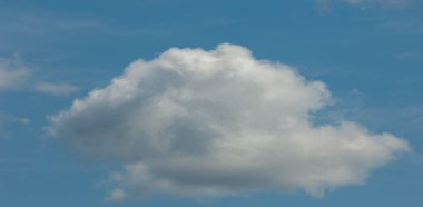 Doku arka plan, desen, duvar kağıdı. Onlar hala oldukça hig vardır