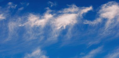 Doku arka plan, desen, duvar kağıdı. Onlar hala oldukça hig vardır