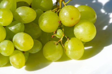 Üzümler masa üzümü gibi taze yenebilir ya da onlar için kullanılabilir.
