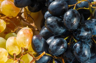 Üzümler masa üzümü gibi taze yenebilir ya da onlar için kullanılabilir.