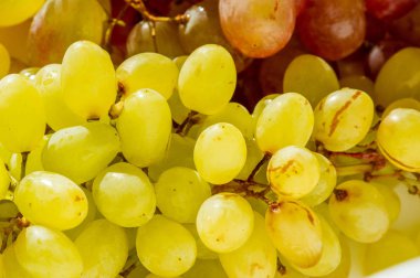 Üzümler masa üzümü gibi taze yenebilir ya da onlar için kullanılabilir.