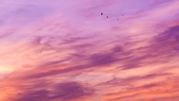 texture pattern clouds at sunrise sunset The apparent mass of co
