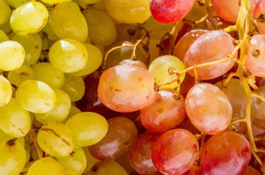 Üzümler masa üzümü gibi taze yenebilir ya da onlar için kullanılabilir.