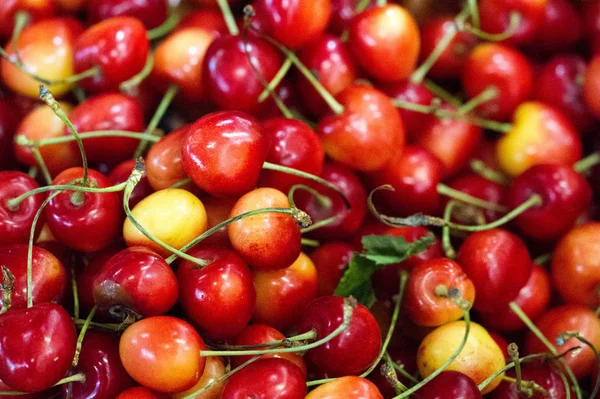 Cseresznye Az Egyesült Államokban, a legtöbb édes cseresznye termesztik Wa — Stock Fotó