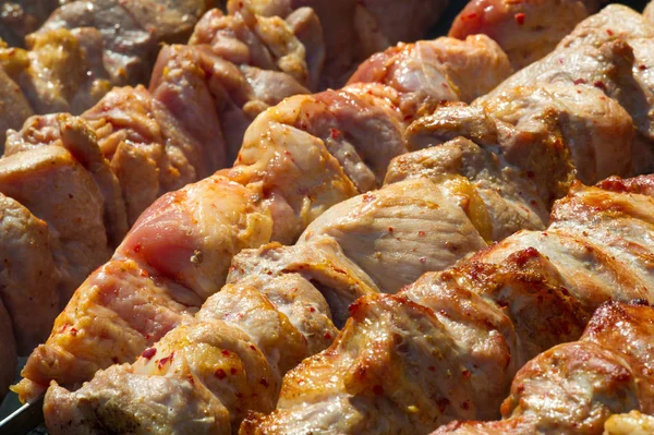 Vlees geroosterd op kolen op een spindel, barbecue, shish kebab. De Voorzitter. — Stockfoto