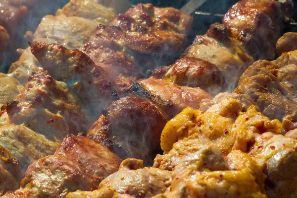 Carne assada em carvão em um fuso, churrasco, prato de carne shish. a) Disposições — Fotografia de Stock