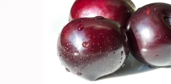 Prugna Albero da frutto con piccoli frutti commestibili succosi, che hanno un lar — Foto Stock