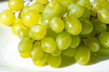 Üzümler masa üzümü gibi taze yenebilir ya da onlar için kullanılabilir.