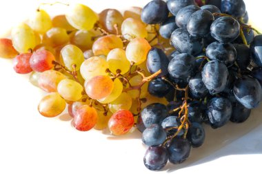 Üzümler masa üzümü gibi taze yenebilir ya da onlar için kullanılabilir.