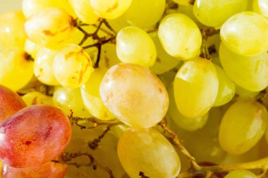 Üzümler masa üzümü gibi taze yenebilir ya da onlar için kullanılabilir.