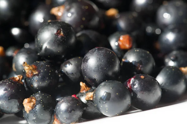 Grosella negra, grosella negra, mora. vitamina C y polifeno —  Fotos de Stock