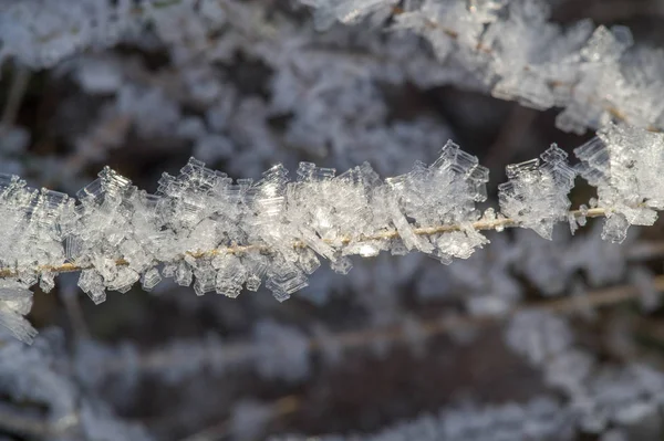 Tekstura, tło, wzór. Frost na gałązki trawy. a DEP — Zdjęcie stockowe