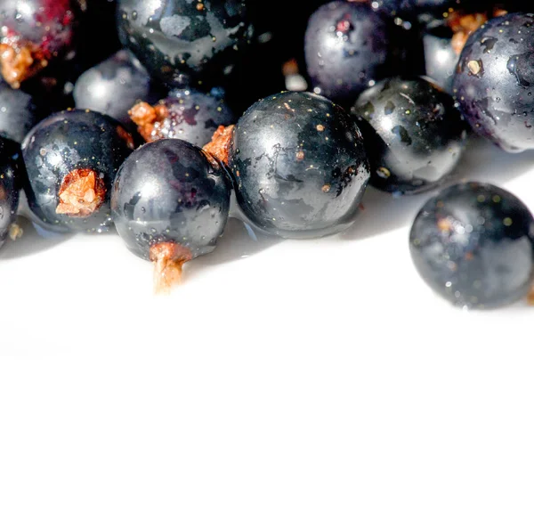 Groselha preta, groselha preta, amora. vitamina C e polifeno — Fotografia de Stock