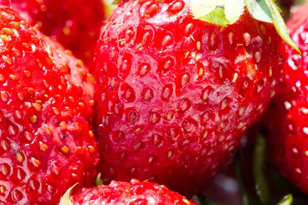 Stroberi adalah buah merah lembut manis dengan permukaan perak. A — Stok Foto