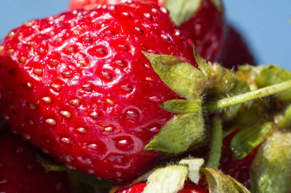 Stroberi adalah buah merah lembut manis dengan permukaan perak. A — Stok Foto