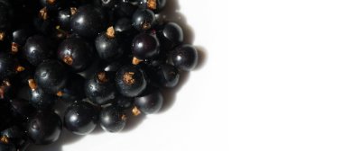 Frenk üzümü, kuşüzümü, böğürtlen. C vitamini ve polifeno