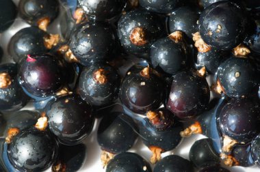 Frenk üzümü, kuşüzümü, böğürtlen. C vitamini ve polifeno