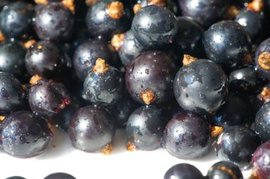 Frenk üzümü, kuşüzümü, böğürtlen. C vitamini ve polifeno