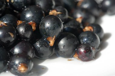 Frenk üzümü, kuşüzümü, böğürtlen. C vitamini ve polifeno