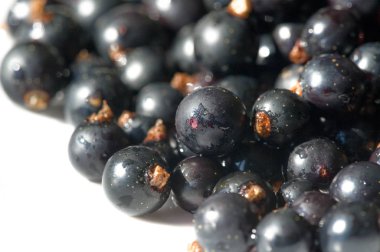 Frenk üzümü, kuşüzümü, böğürtlen. C vitamini ve polifeno