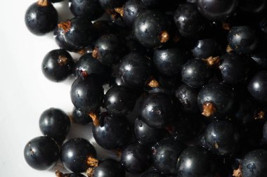 Frenk üzümü, kuşüzümü, böğürtlen. C vitamini ve polifeno