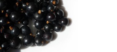 Frenk üzümü, kuşüzümü, böğürtlen. C vitamini ve polifeno