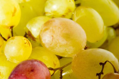 Üzümler masa üzümü gibi taze yenebilir ya da onlar için kullanılabilir.