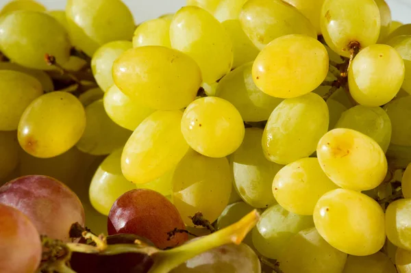 Üzümler masa üzümü gibi taze yenebilir ya da onlar için kullanılabilir.