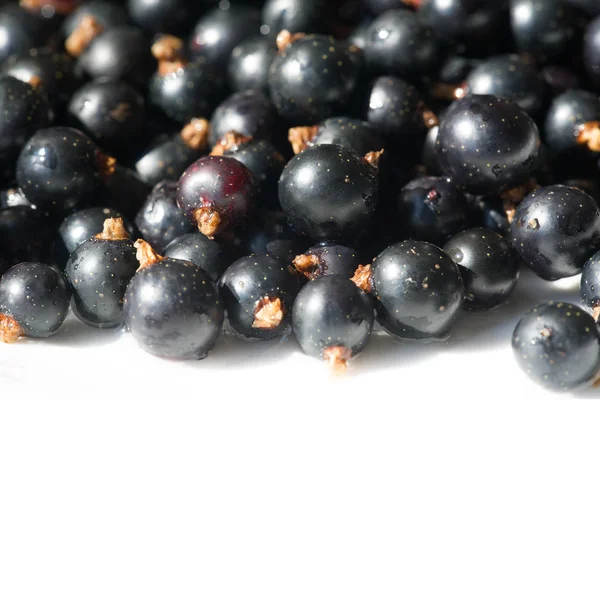 Grosella negra, grosella negra, mora. vitamina C y polifeno —  Fotos de Stock