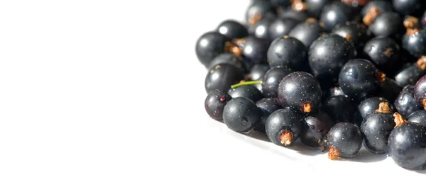 Groselha preta, groselha preta, amora. vitamina C e polifeno — Fotografia de Stock