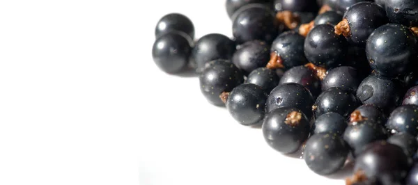 Groselha preta, groselha preta, amora. vitamina C e polifeno — Fotografia de Stock