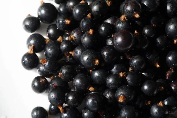 Groselha preta, groselha preta, amora. vitamina C e polifeno — Fotografia de Stock