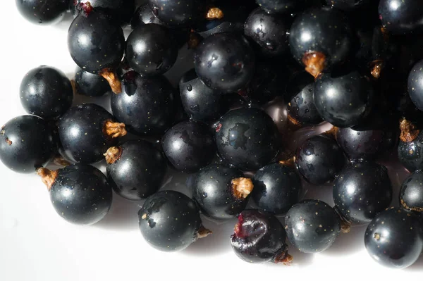 Groselha preta, groselha preta, amora. vitamina C e polifeno — Fotografia de Stock