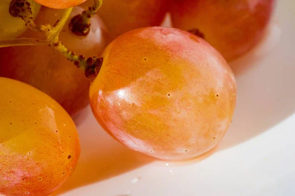 Las uvas se pueden comer frescas como uvas de mesa o se pueden utilizar para —  Fotos de Stock