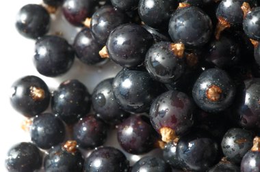 Frenk üzümü, kuşüzümü, böğürtlen. C vitamini ve polifeno