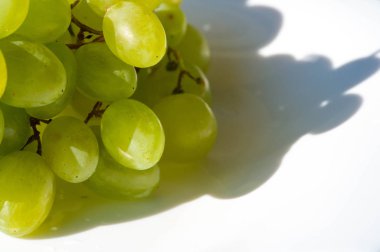 Üzümler masa üzümü gibi taze yenebilir ya da onlar için kullanılabilir.