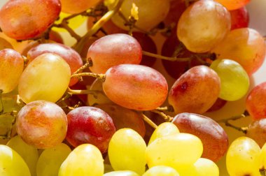 Üzümler masa üzümü gibi taze yenebilir ya da onlar için kullanılabilir.