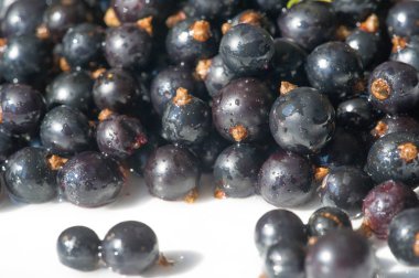 Frenk üzümü, kuşüzümü, böğürtlen. C vitamini ve polifeno