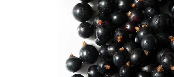 Groselha preta, groselha preta, amora. vitamina C e polifeno — Fotografia de Stock