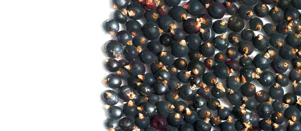 Svarta vinbär, svarta vinbär, björnbär. C-vitamin och polyfeno — Stockfoto