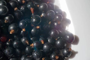 Frenk üzümü, kuşüzümü, böğürtlen. C vitamini ve polifeno