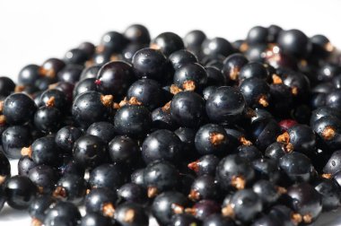 Frenk üzümü, kuşüzümü, böğürtlen. C vitamini ve polifeno