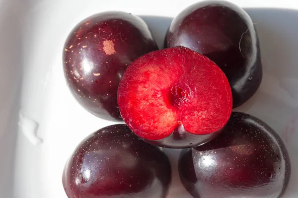 Pflaumen-Obstbaum mit kleinen saftigen essbaren Früchten, die einen — Stockfoto