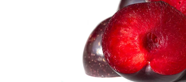 Pruimenfruitboom met kleine sappige eetbare vruchten, die een lar hebben — Stockfoto